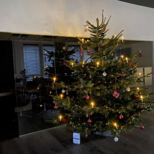 Weihnachtsbaum_6